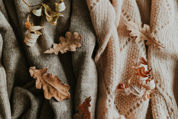 Autumn Leaves on Cozy Knitted Fabric Background for Warm Seasonal Themes