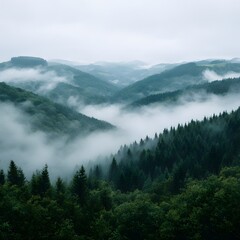 Obraz premium Misty mountains ethereal landscape serene forest canopy lush green evergreen trees serenity