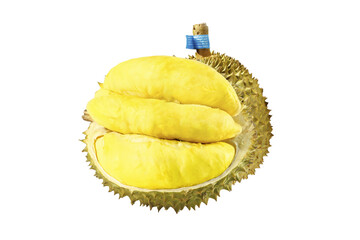 Fresh Golden Durian Fruit with Yellow Flesh Segments on White Background