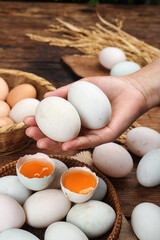Fresh White Duck Eggs with Orange Yolks in Hand on Rustic Wooden Background with Wheat Stalks