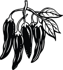 Black and White Illustration of a Bunch of Jalapeno Peppers on a Stem with Leaves chili peppers hot peppers