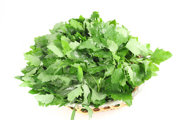 Obraz premium Fresh Wild Ashwagandha Shoots and Greens in Basket from Gansu Province China