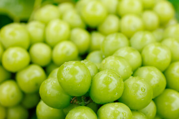 Fresh Green Grapes with Water Droplets - Healthy Organic Fruit Close-Up