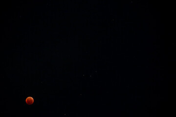 A beautiful rare blood moon on a dark night sky