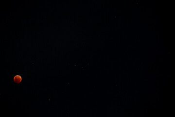 A beautiful rare blood moon on a dark night sky