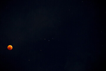 A beautiful rare blood moon on a dark night sky