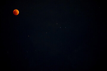 A beautiful rare blood moon on a dark night sky