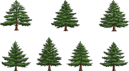 Vector evergreen pine tree set, forest coniferous trees illustration, detailed green fir and spruce collection for winter, holiday, or nature-themed design