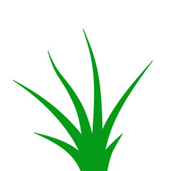 Green Grass Illustration