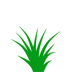 Green Grass Illustration