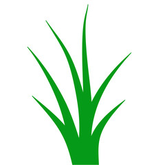 Green Grass Illustration