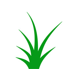 Green Grass Illustration