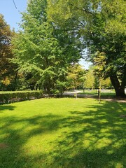 Sunny summer day in a city park. Bright green grass, neat sidewalks and shaded alleys create an ideal place for walking