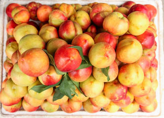 Fresh Red-Skinned Nectarines Stacked in Wooden Crate from Dalian Market Scene