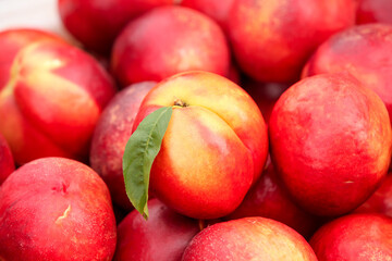 Fresh Dalian Nectarines with Leaf - Ripe Red Yellow Stone Fruits from Chinese Orchard