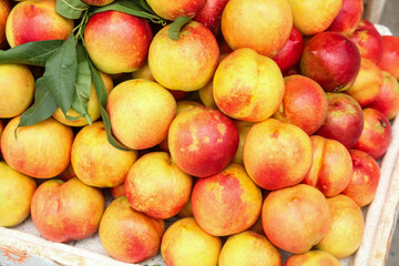 Fresh Yellow Red Nectarines Stacked Basket Dalian Shanxi Stone Fruit Organic Healthy Summer Produce Market Display