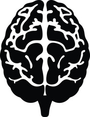 Brain silhouette anatomical transparent render ideal for clinical diagrams, educational posters and scientific publications, scalable vector artwork