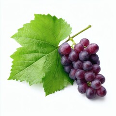 Fototapeta premium Grape Vine Elegance: Lush Green Leaves and Plump Purple Grapes, Isolated on White, Studio Product Photography