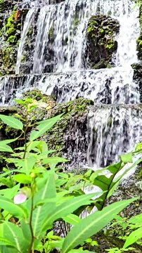 Cool, clear waterfall in the middle of the forest