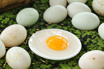 Fresh Duck Eggs with Raw Yolk on Green Moss - Farm Organic Free Range Ingredients