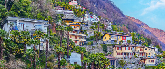 Panorama of houses on the slope, Ronco sopra Ascona, Switzerland