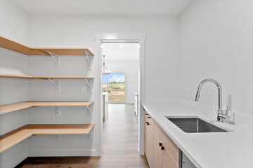 Kitchen with a sink and a pantry with shelves