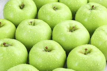 Fresh Green Apples from Shaanxi China Ready to Pick - Healthy Organic Fruit Crop with Water Droplets