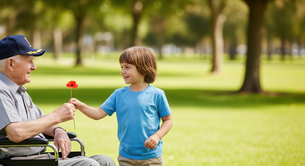 Veterans day celebration with boy giving a poppy flower to veteran in wheelchair outdoors. Veterans day honors military veterans, young boy shows respect and gratitude, presenting bright red flower.