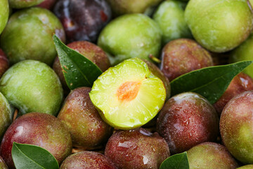 Fresh Green and Red Plums with Water Droplets - Sweet Summer Stone Fruit Harvest