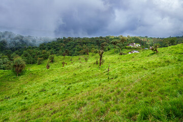 Obraz premium The cloud forest, a natural sanctuary north-west of Quito, Mindo cloud forest, Andean forest and landscapes 