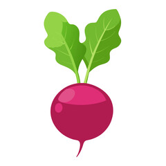 red  Beets with leaf