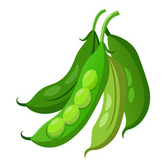 fresh green peas