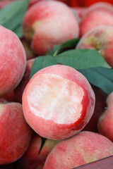 Fresh Ripe Peaches with Juicy White Flesh and Green Leaves - Summer Fruit Harvest