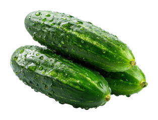 Harvesting fresh cucumbers organic farm food rural isolated on transparent background