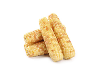 Fresh Golden Corn Cobs on White Background - Healthy Vegetable Food Photography