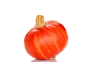 Ripe sweet pumpkins isolated on white background, close-up.