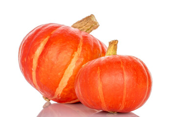 Ripe sweet pumpkins isolated on white background, close-up.