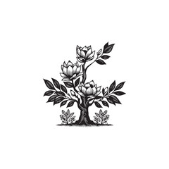 Black Color Magnolia Tree Silhouette Vector Illustration, Solid White Background.