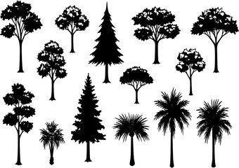 Large vector set of icons of deciduous coniferous trees palms and dracaena hand-drawn in a flat style and isolated on a white background for the design and decor of maps and park and urban info