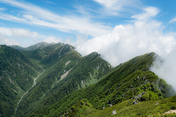 Fototapeta premium 日本の自然