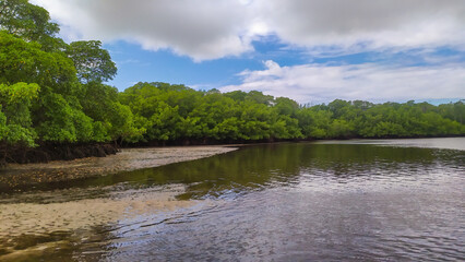 The mangrove forest frames Castelhanos Beach, creating a unique coastal landscape on Boipeba Island, Bahia, Brazil.