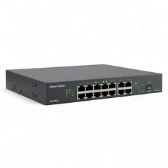 Network Switch Device for Data Connectivity and Communication.