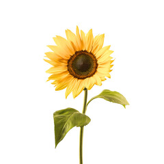 Naklejka premium Golden sunflower with bright petals and textured center, cheerful summer bloom radiating warmth