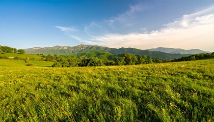 Fototapeta premium Lush green meadow stretches towards distant mountains under a clear sky