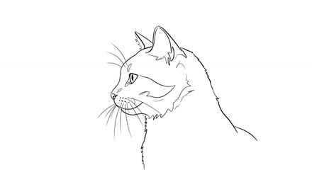 Line drawing of a cats head