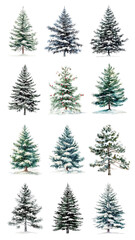 Obraz premium PNG watercolor Christmas tree design element set, transparent background