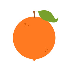 orange fruit vector illustration