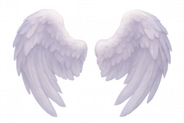 Beautiful white feathered angel wings symbolize grace, purity, and spiritual ascension, creating a sense of freedom and divine presence