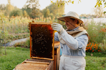 Female beekeeper in protective clothing carefully inspecting wooden frame with honeycomb and bees outdoors on sunny day.