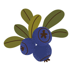 Isolated blueberries and green leaves with grainy texture effect. Modern flat vector botanical illustration. Colourful print for decoration card, poster, advertisement